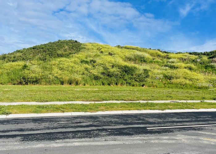 For sale 193 John Burke Drive, Aotea, Porirua, Wellington homes.co.nz