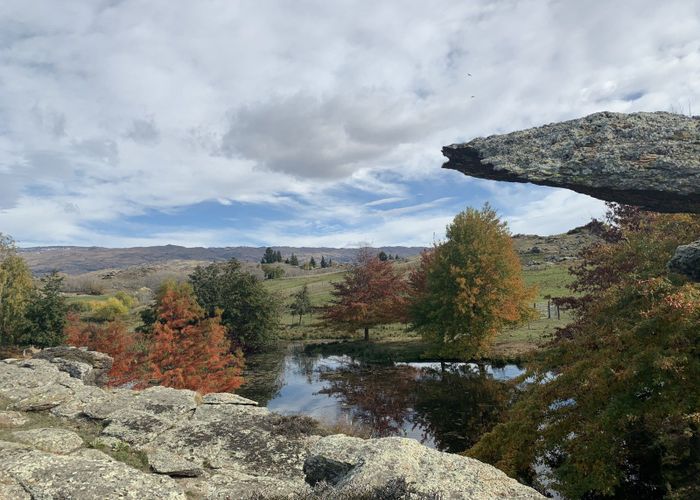 For sale Chapman Road, Alexandra, Central Otago, Otago homes.co.nz