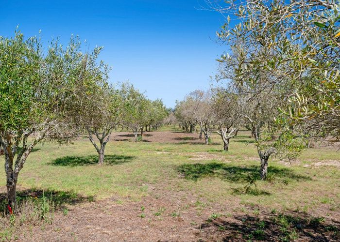 Recently sold 151 Tern Point, Mangawhai homes.co.nz