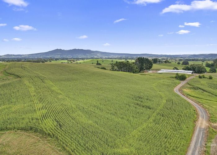 For sale 248 Gillard Road, Ngahinapouri, Waipa, Waikato homes.co.nz