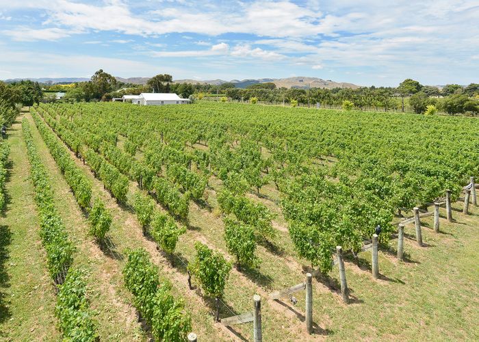 Free property data for 33 Cambridge Road, Martinborough homes.co.nz