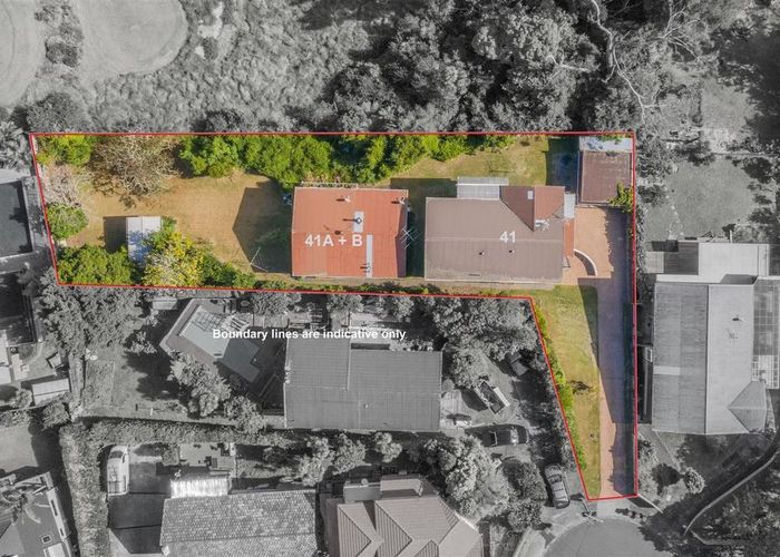 For sale 41 & 41A Budgen Street, Mount Roskill, Auckland City