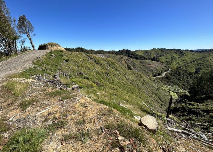 For sale Junction Road RD 25, Stratford East, Stratford, Taranaki