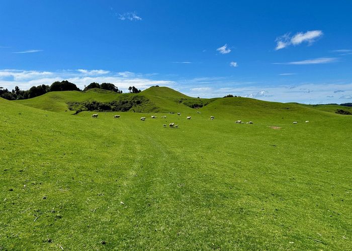 For sale 1371 Rangitatau Road, Brunswick, Whanganui, Manawatu