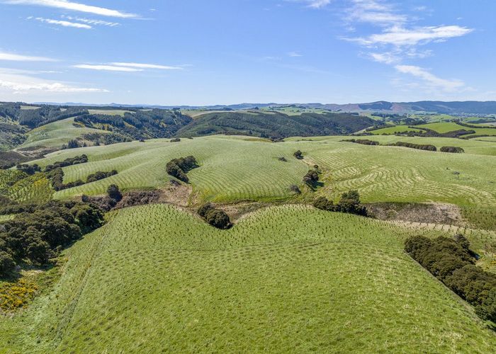 For sale Goldfields Forest, Milton, Clutha, Otago homes.co.nz