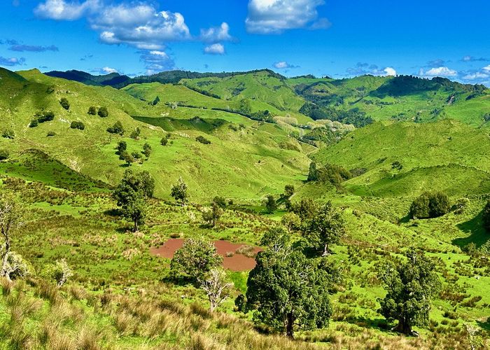 For sale 1719 Ohura Road, Te Kuiti, Waitomo, Waikato homes.co.nz