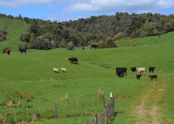 For sale 262 Waitaanga North Road, Ohura, Ruapehu, Manawatu