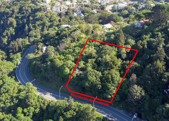 For sale 53 Ngaio Road, Ngaio, Wellington, Wellington homes.co.nz