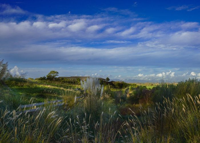 For sale 683 Back Miranda Road, Miranda, Waikato, Waikato homes.co.nz