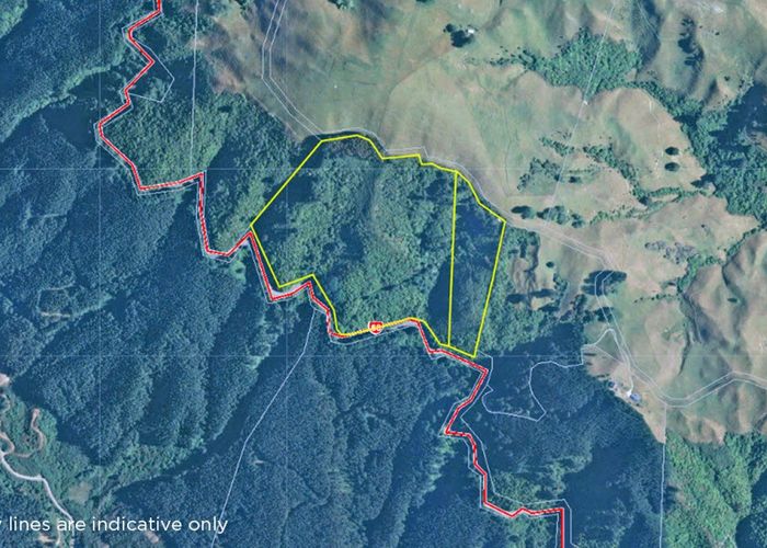 For sale Takaka Hill, Takaka, Tasman, Nelson / Tasman homes.co.nz