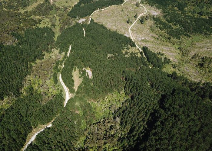 For sale 438 Mangamuka Road, Mangamuka, Far North, Northland homes