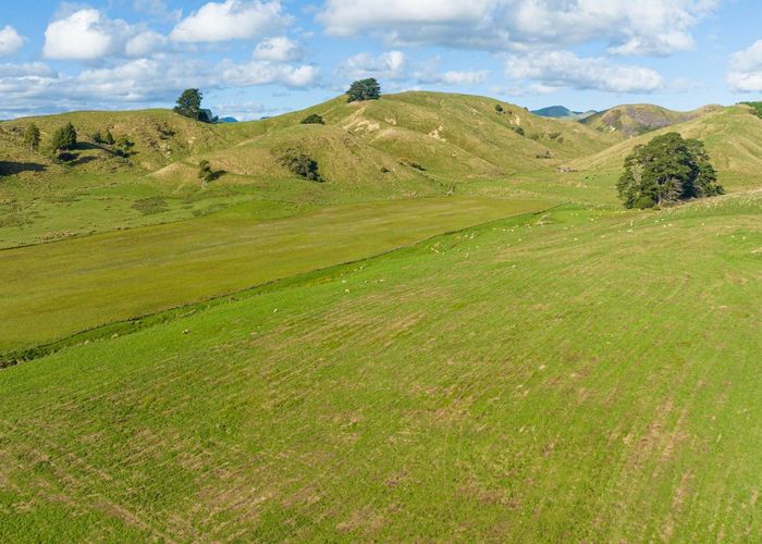 For sale Kaitawa Road, Pahiatua, Tararua, Manawatu / Whanganui