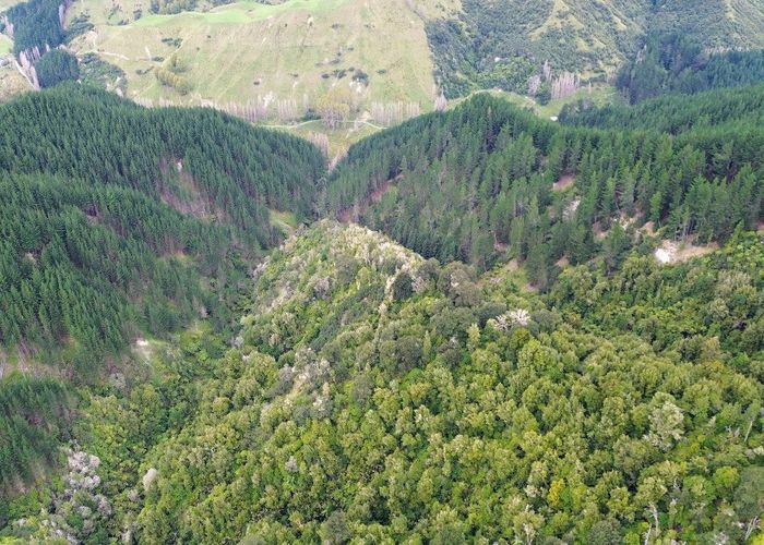 For sale 3811 Waitotara Valley Road, Ngamatapouri, Waitotara, South