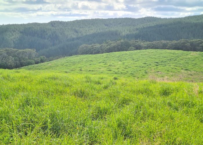 For sale 675 Road, Maungaturoto, Kaipara, Northland homes.co.nz