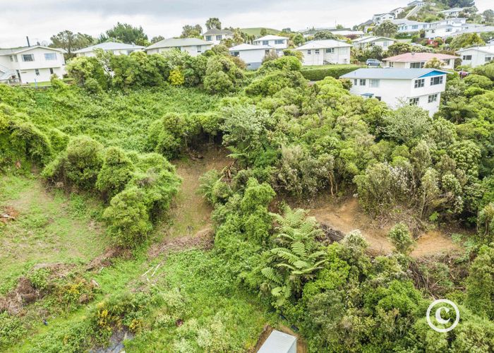 For sale 64 Woodland Road, Johnsonville, Wellington, Wellington homes.co.nz