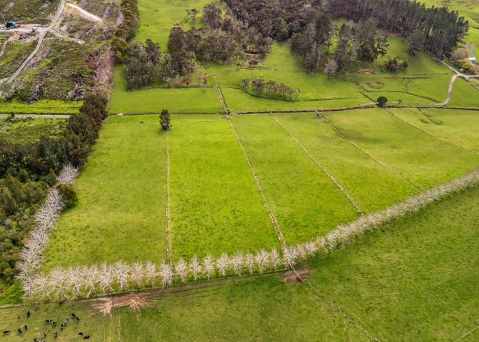 For sale 133 Okahu Road, Kaitaia, Far North, Northland homes.co.nz