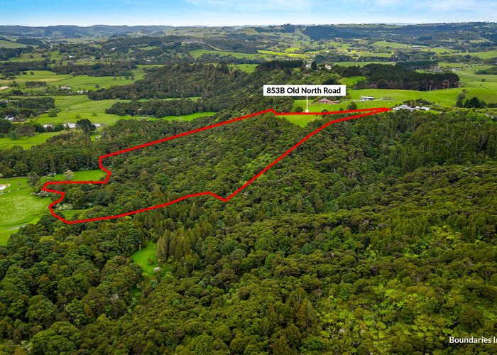 For sale 853B Old North Road, Waimauku, Rodney, Auckland homes.co.nz