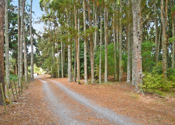 Free property data for 42 Davie Martin Road, Kaipara Flats, Warkworth
