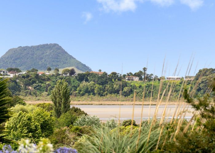 Recently sold 56 Sutherland Road, Brookfield, Tauranga homes.co.nz