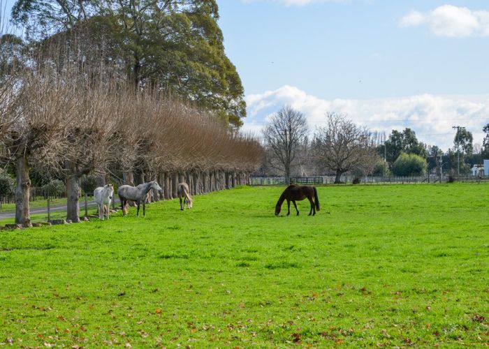 Free property data for 71 Rosser Road, Longlands, Hastings homes.co.nz