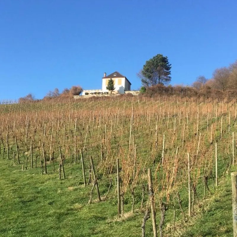 Ferienwohnung Paradies Hella Unique offers via Hotels.nl.