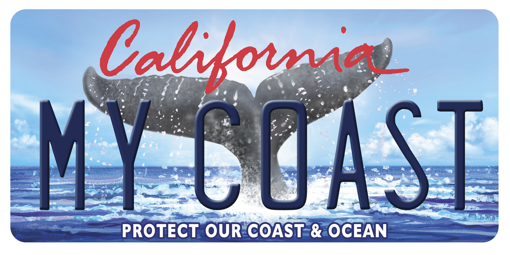 California 'Whale Tail' Specialty License Plate Gets Redesign (PHOTOS