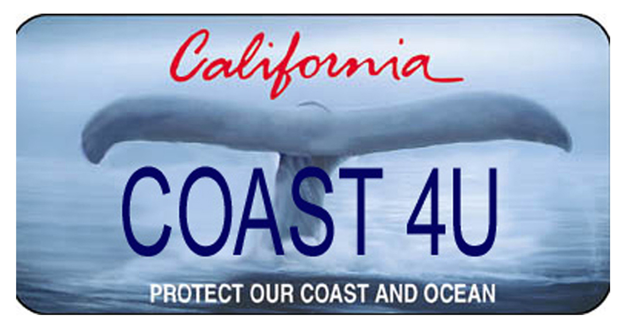 California 'Whale Tail' Specialty License Plate Gets Redesign (PHOTOS