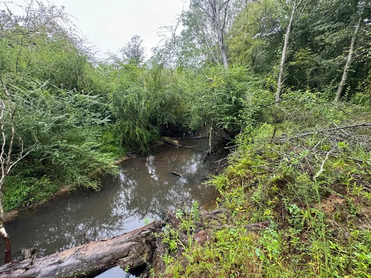 Bogue Chitto, Mississippi