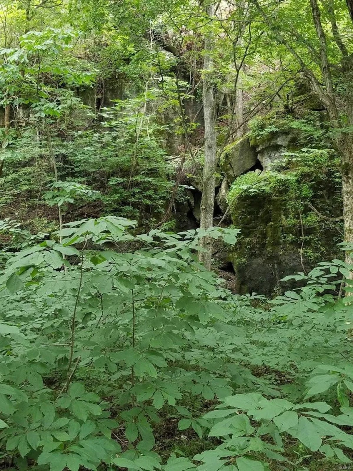 Lake View Trail, Raymondville, Missouri