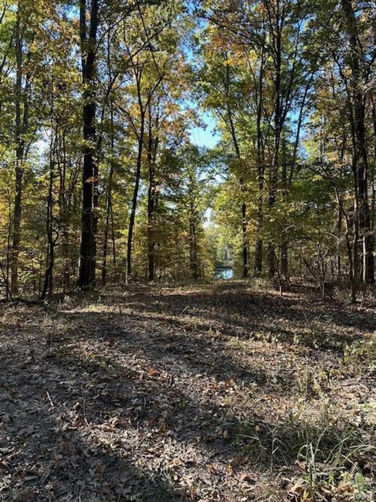 747 Hohokam, Jackson, Missouri