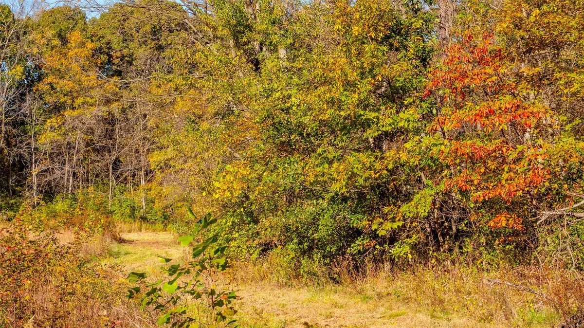 907 Guthrie Road, Wentzville, Missouri