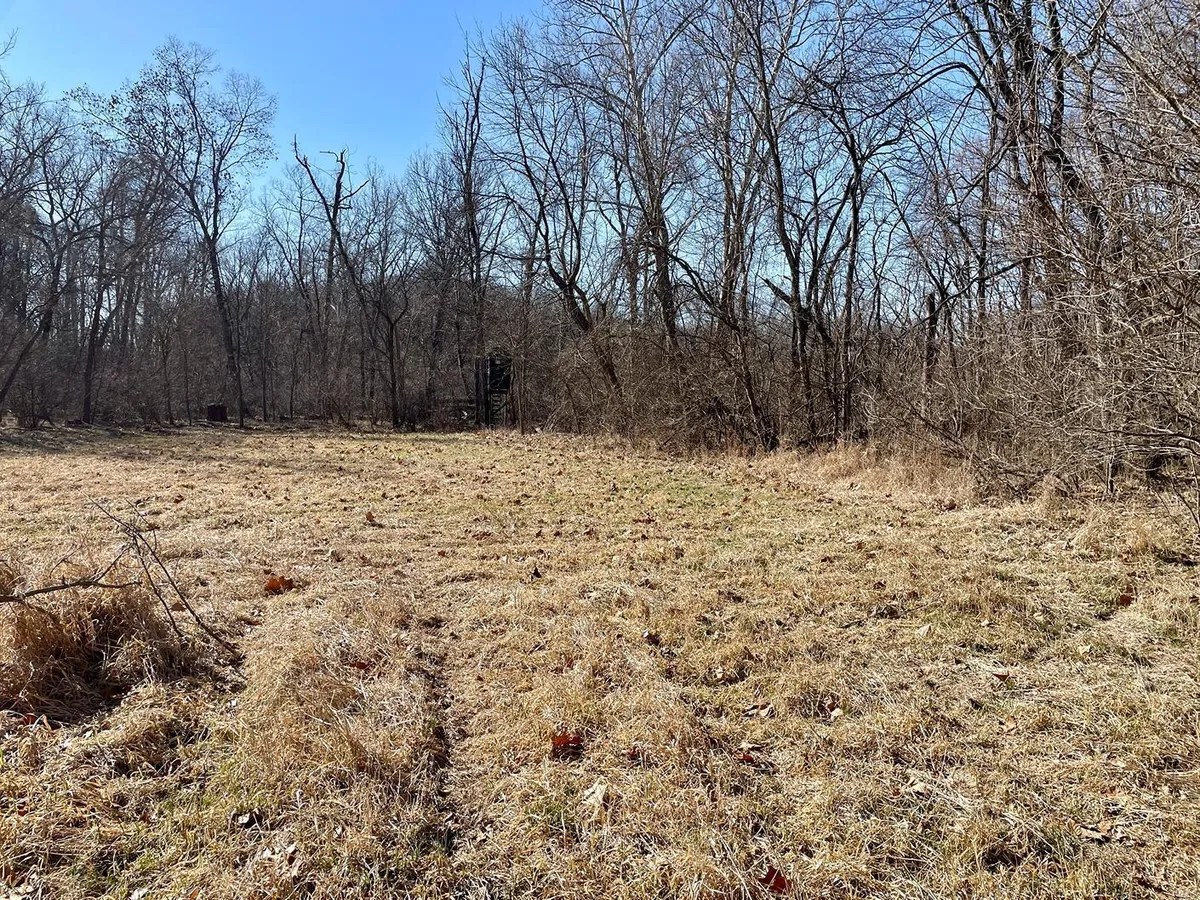 County Road 1000, Shobonier, Illinois