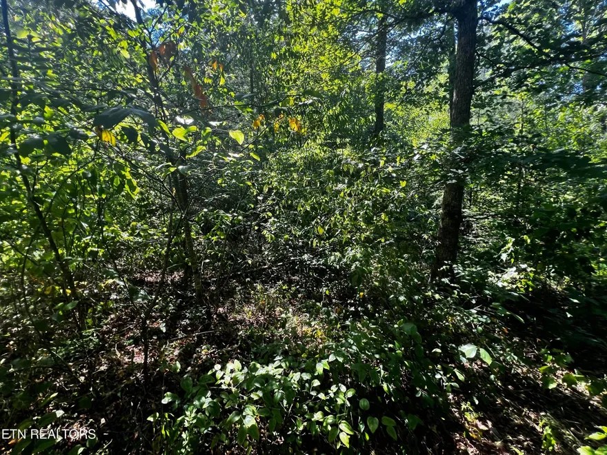 W Muddy Ln, Crawford, Tennessee