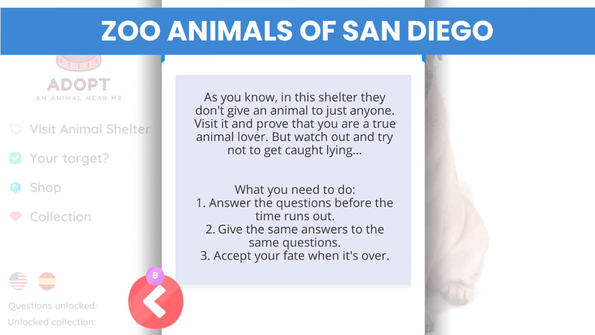 Adopt an Animal Near Me (TBD)