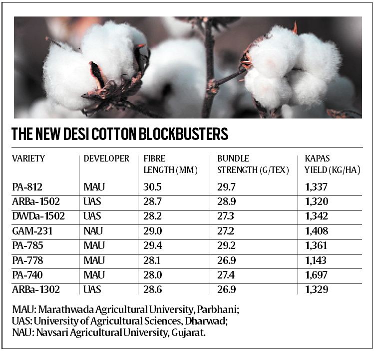 Rainfed Agriculture Seizing the desi advantage through improved