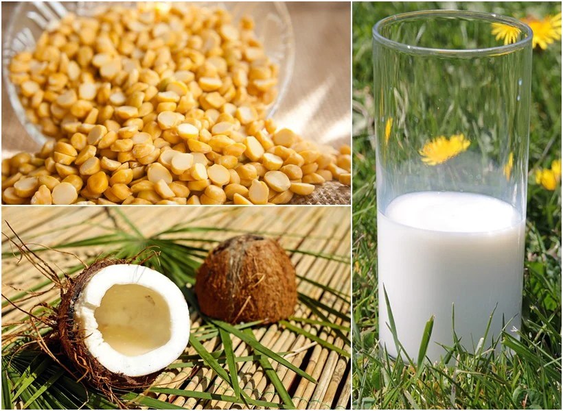 10 High Protein Foods To Help You Lose Weight Lifestyle Gallery