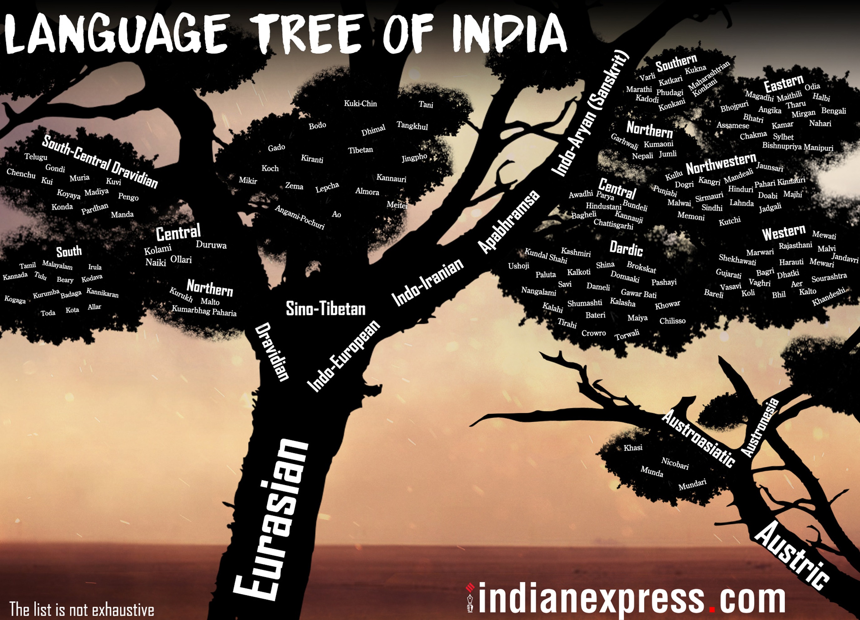 ‘There are 600 potentially endangered languages in India… each dead