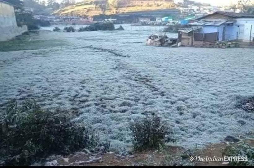 Mercury dips in Kerala; Munnar covered with frost India News News