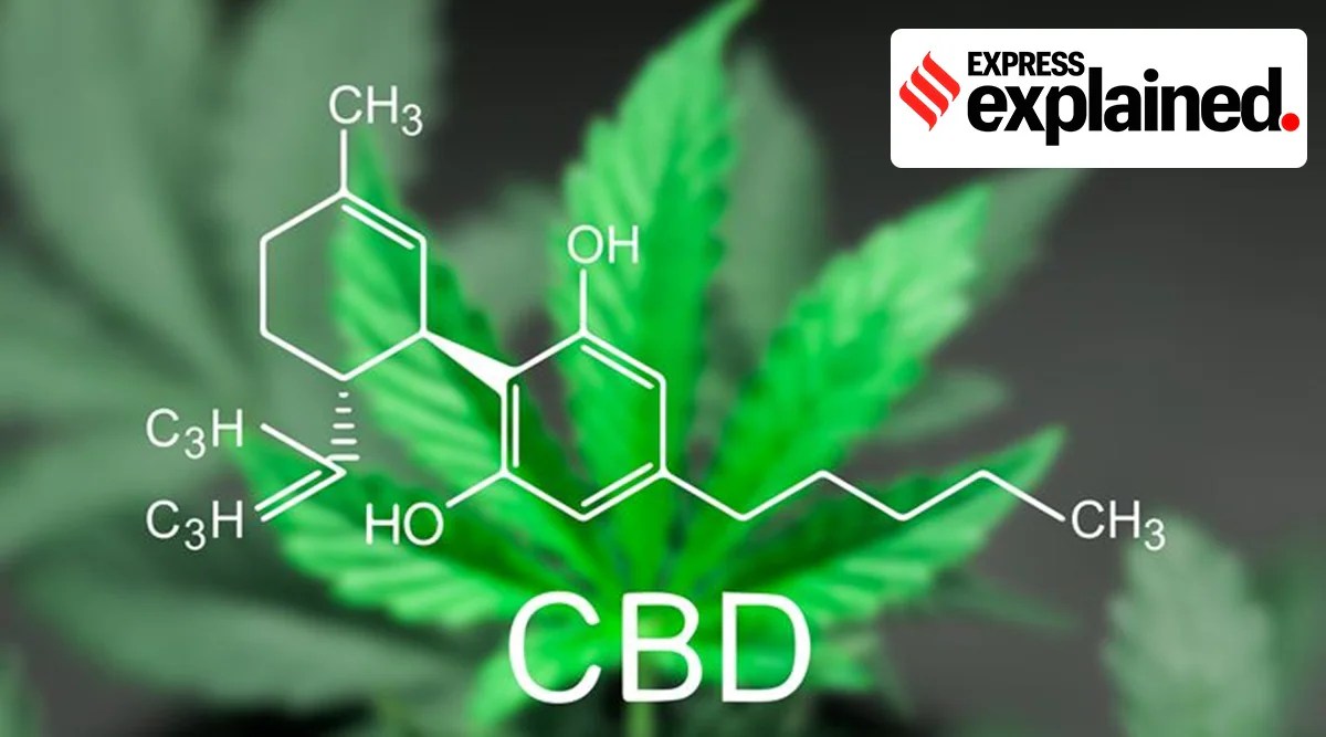 who has the best cbd oil cheap