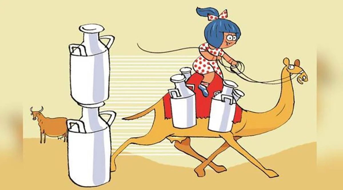 Gujarat GCMMF launches treated camel milk in PET bottles India News