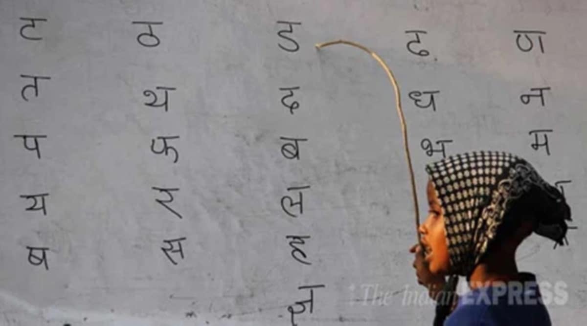 Marathi compulsory in all schools Dept sets up committee to draft rules on how to implement law