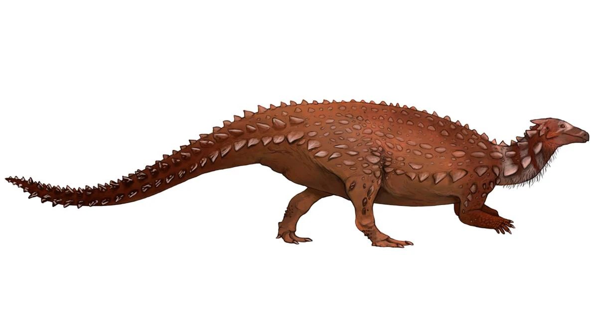 Fossils discovered in Antrim turn out to be only dinosaur bones found