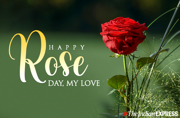 Happy Rose Day 2021 Wishes Images, Quotes, Status, HD Wallpapers, GIF