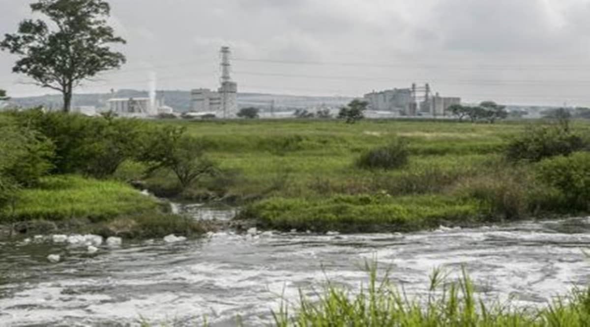 Extensive water pollution around 2 thermal power plants in Nagpur