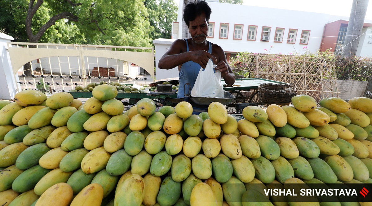 No Indian mangoes in US for second year in a row after govts fail to