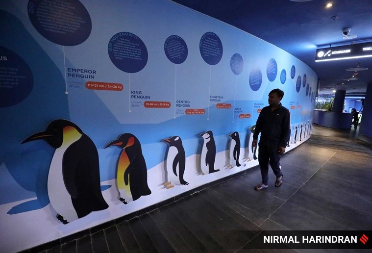 Explained What are the aquatic, robotics galleries at Ahmedabad’s