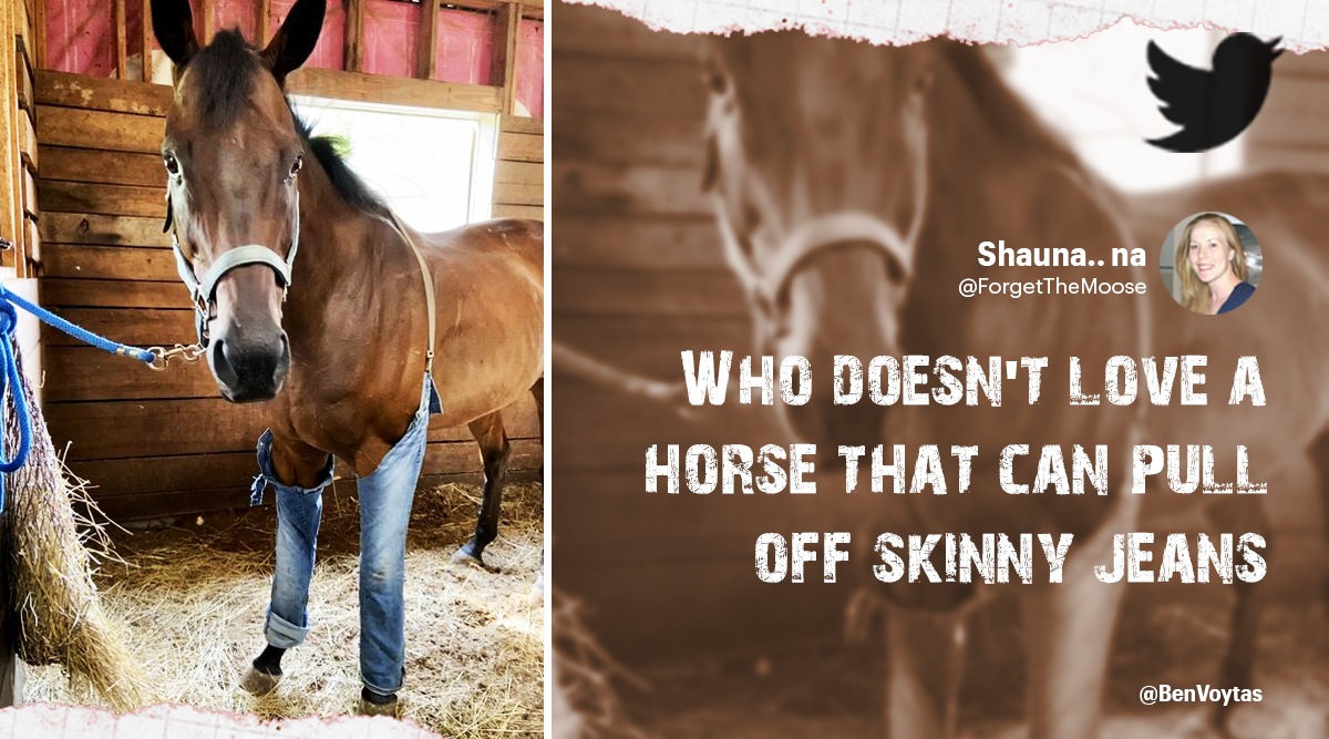 Woman fashions ‘jeans suspenders’ for her injured horse, netizens say