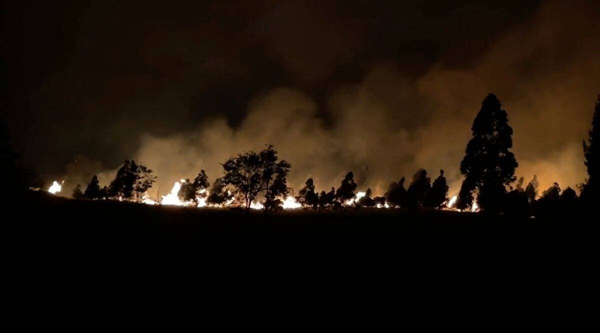 Record wildfire burns amid drought on Hawaii’s Big Island World News