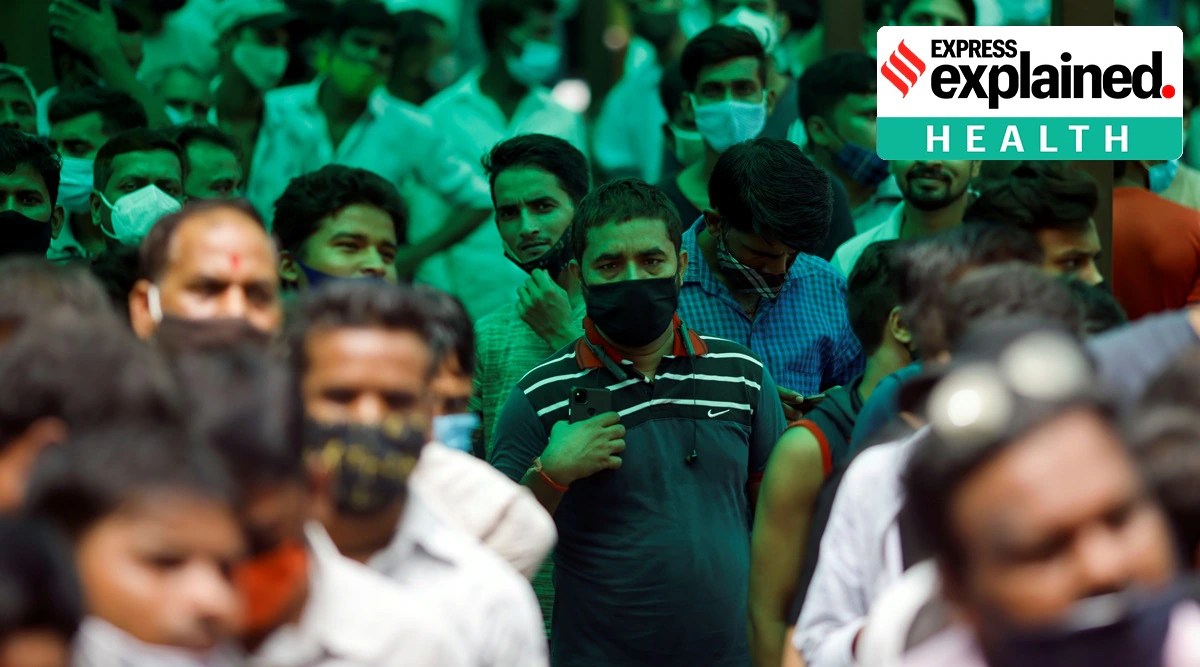 Is Covid19 now endemic in India?