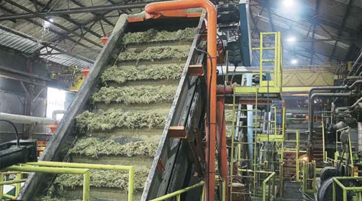Sugar Mills News, Photos, Latest News Headlines about Sugar Mills